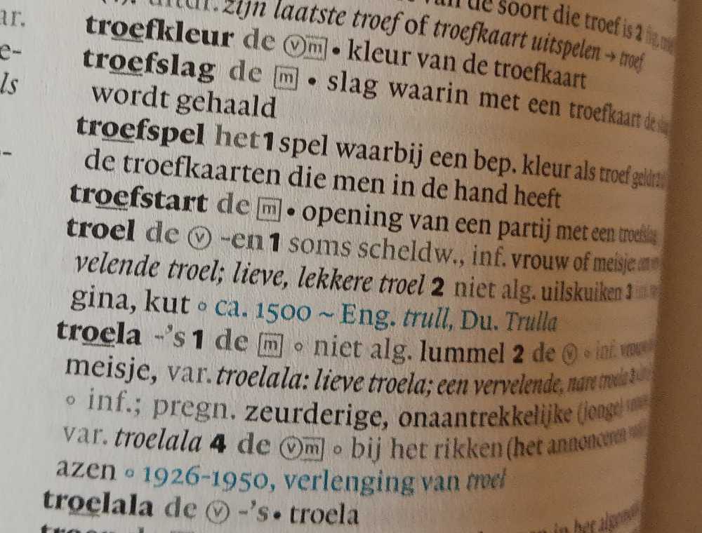 woordenboek
